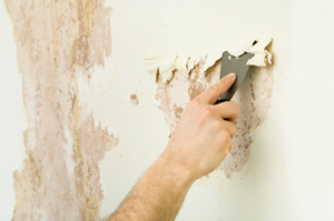 Fairfield County Wallpaper Removal